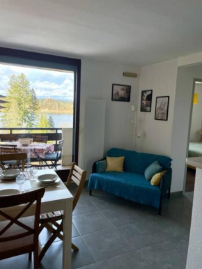 Beau Duplex, au bord du lac Saint-Point Malbuisson
